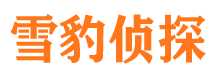 云城侦探公司